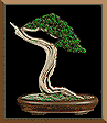 juniper.gif 